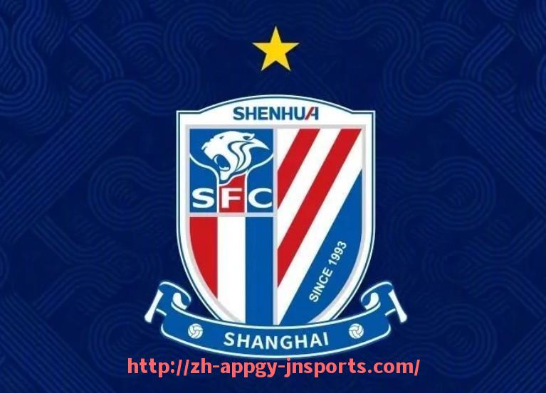 江南体育APP-2010年中超联赛亚军球队表现及赛季亮点
