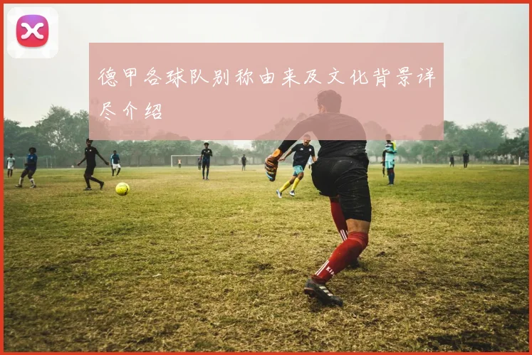 德甲各球队别称由来及文化背景详尽介绍