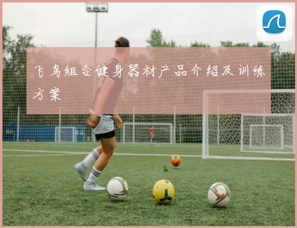 飞鸟组合健身器材产品介绍及训练方案