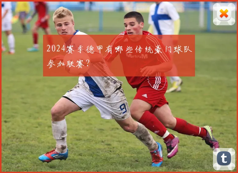 2024赛季德甲有哪些传统豪门球队参加联赛？