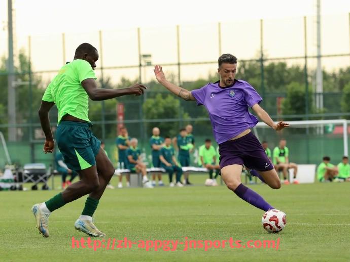 江南体育APP-意甲球队队徽图文介绍及象征意义解析